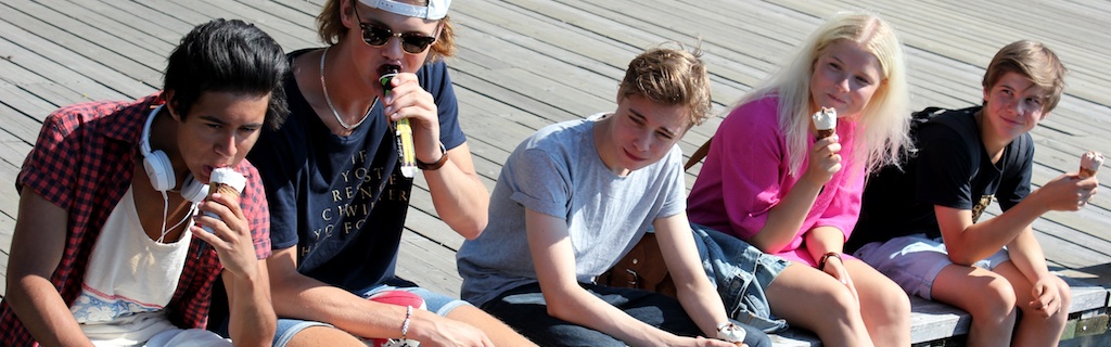 RIKSKONFERENS FÖR SPECIALPEDAGOGIK arrangeras den 12-13 september 2018 i Växjö
